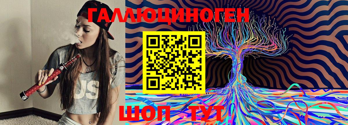 Галлюциногенные грибы Cubensis Сегежа