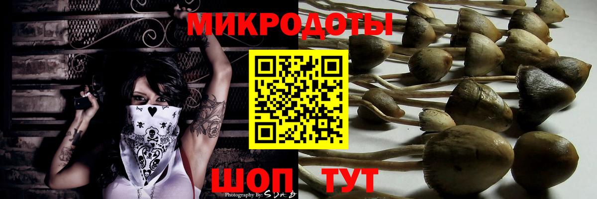 Сегежа  Псилоцибиновые грибы мухоморы  Вход с VPN 